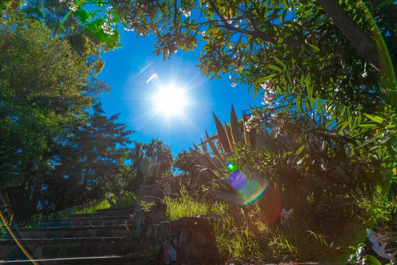 Giardino Sul Mare House - Levanto Sea View Ngoại thất bức ảnh